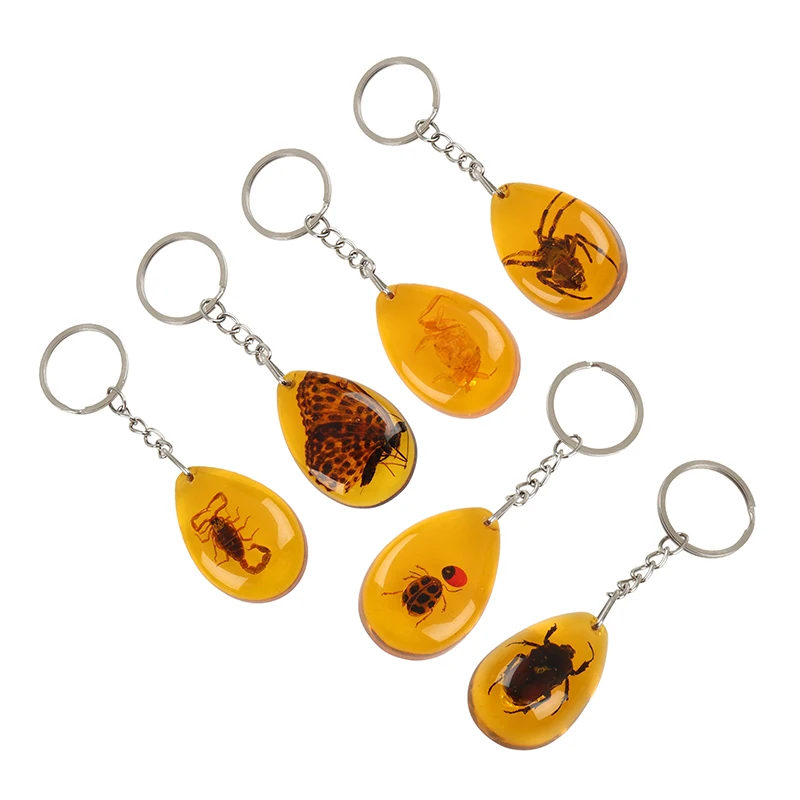 1PCS Charm Natural Amber+ Key Chain Resin Insect Specimen Scorpion Butterfly Beetle Spider Key
