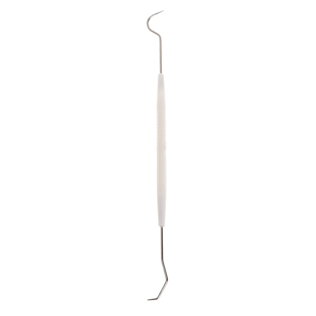 

2020 New Ant Equipment Cleaner Remover Cleaning Hook Double Head Tools Test Tube Stainless Steel Nest Clean Insect Supplies