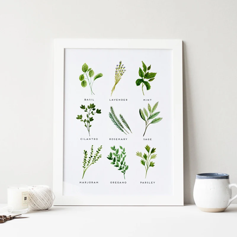 Herbs-Canvas-Print-and-Poster-Watercolor-Basil-Oregano-Sage-Cilantro-Canvas-Painting-Botanical-Picture-Kitchen-Wall