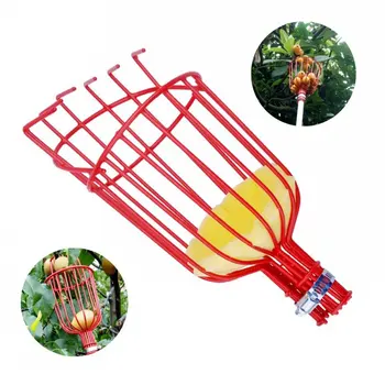 

Fruit Picker Tool Harvester Basket With Cushion Harvesting Tool Gardening Supplies