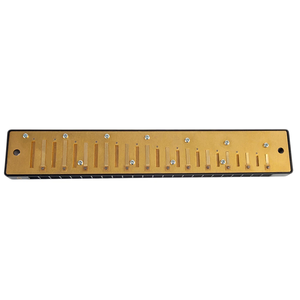 24 Holes Harmonica Comb with Reeds Set C Key for Students Adults Music Lovers