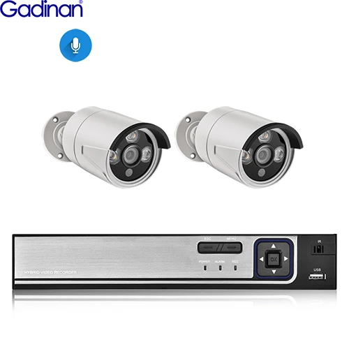 8CH NVR and 2 Camera Gadinan 8CH 4MP NVR комплект CCTV POE домашняя система 4MP День Ночь полноцветный теплый светильник наружная аудио ip-камера комплект видеонаблюдения - Цвет: 8CH NVR and 2 Camera