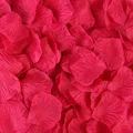 Rose red