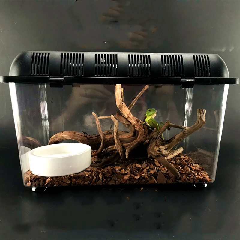 

Reptile feeding box crawlbox crawlbox baby baby spider horn frog guard palace box lizard pet snake snail insect turtle tank