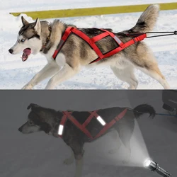 Durable Reflective Waterproof Dog Harness - Chest 85 to 105cm (Red)
