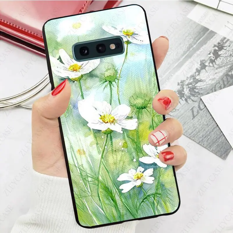daisy flower