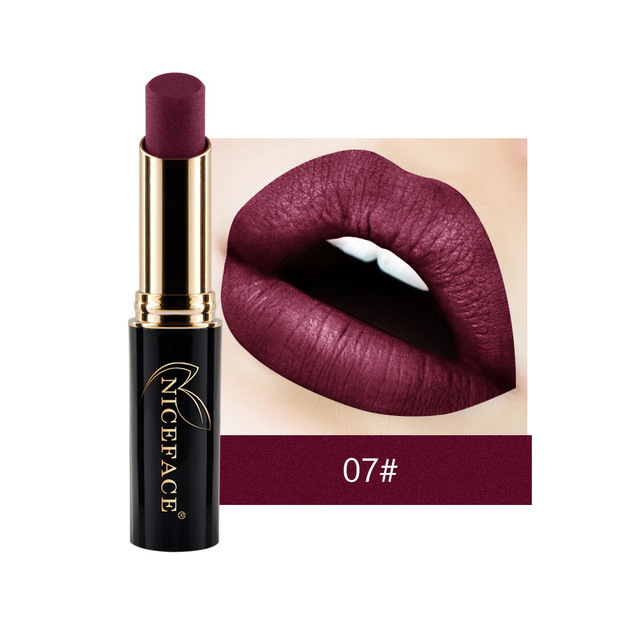 24 Colors Matte Women Lipstick Labiales Beauty Make Up Long Lasting Waterproof Metallic Lipstick Drop Shipping New Hot TSLM1