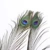 10Pcs Natural Peacock Feather Holiday Party  Plumage Fashion Crafts Beautiful Decorative 25-30cm 3