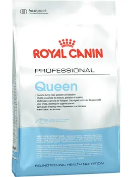 

ROYAL CANIN ROYAL CANIN QUEEN 34 for adult cats during pregnancy