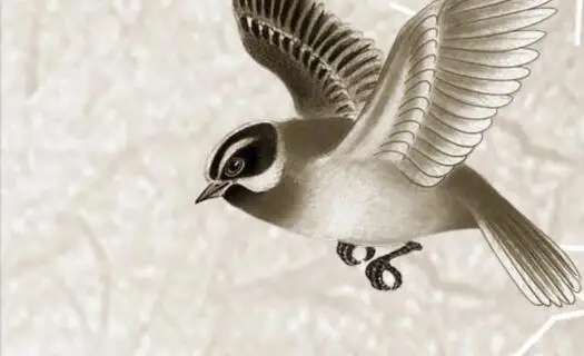 QQ截图20200908140654