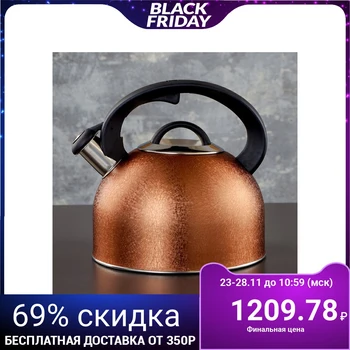 

Whistling kettle 3 l Snow gold, induction 4501428