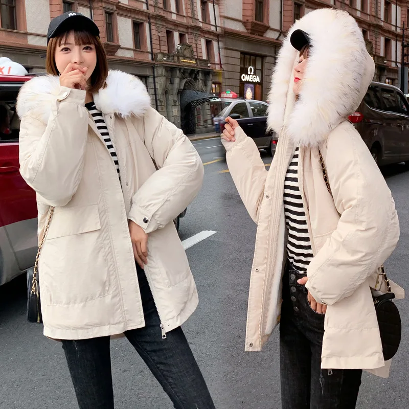 

Foreign Trade Korean-style Cotton Coat Women's Autumn And Winter 2019 New Style Large Fur Collar Cotton-padded Clothes Short Stu