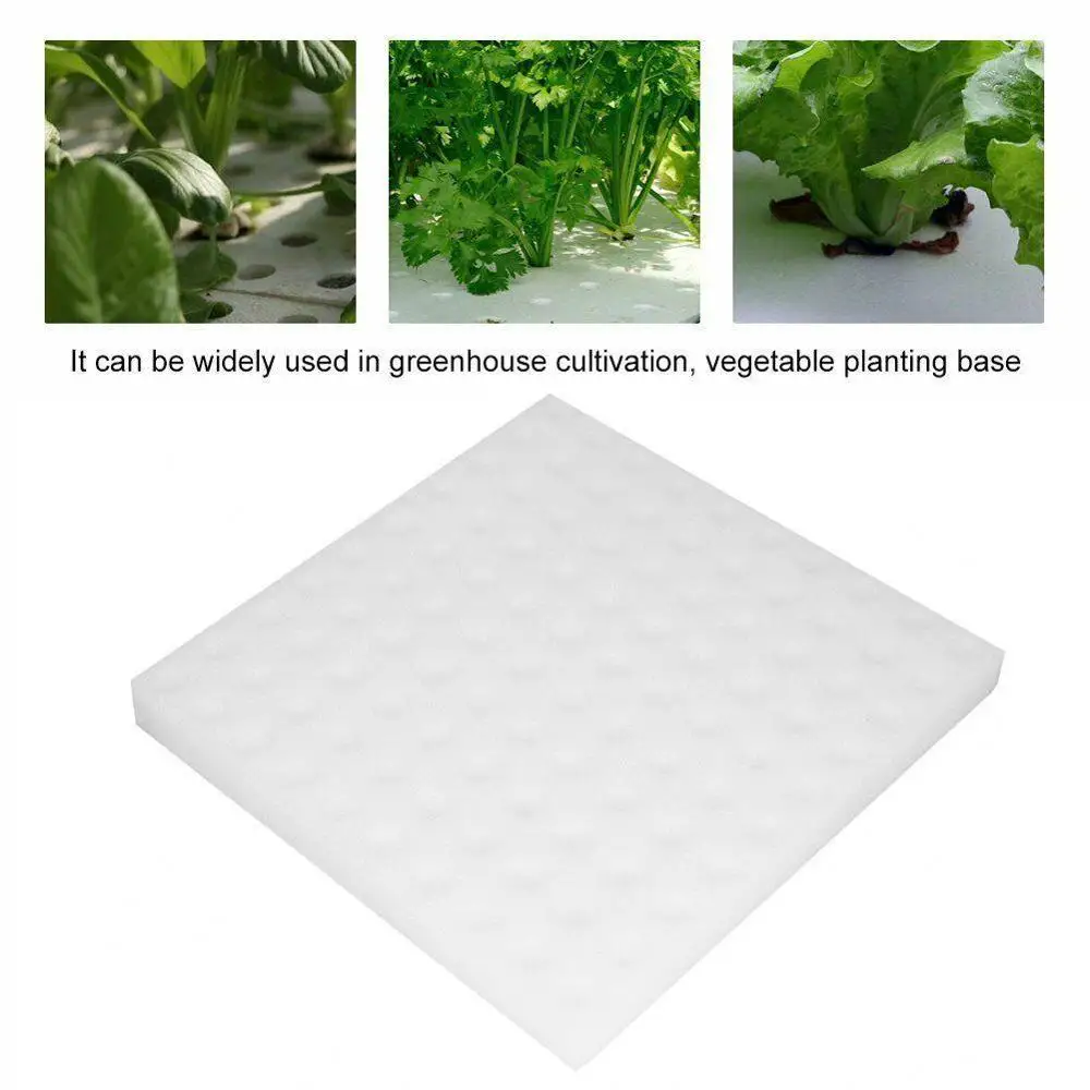 1pcs Hydroponic Sponge Planting Gardening Tool Seedling Sponges For Greenhouse Soilless Vegetable System 1pcs Hydroponic Sponge Planting Gardening Tool Seedling Sponges For Greenhouse Soilless Vegetable System