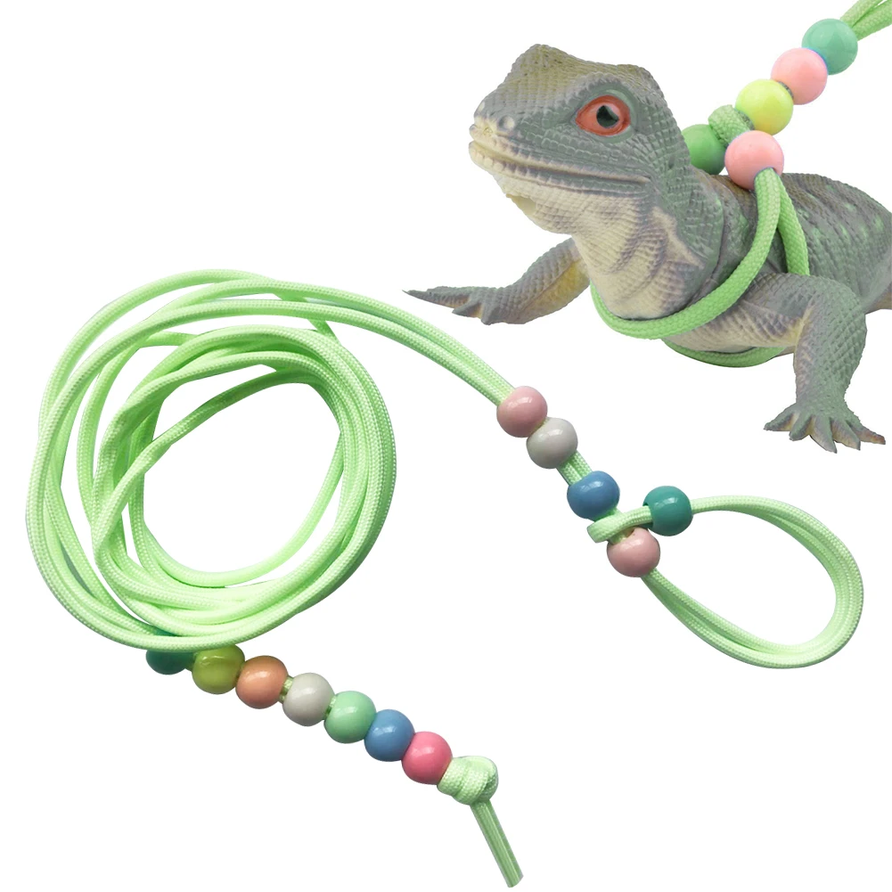gecko accessories