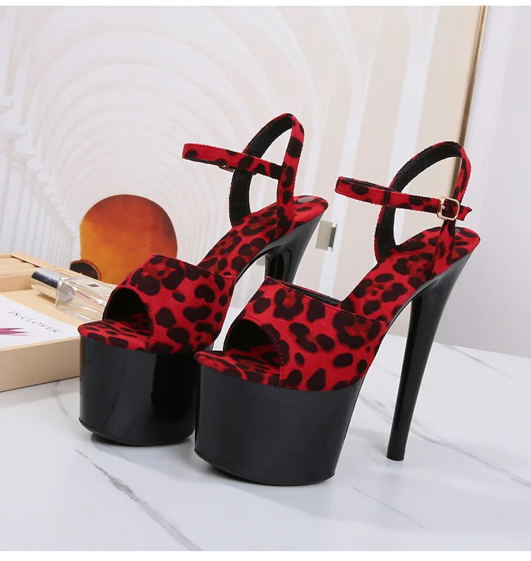 14899484080_2138732029