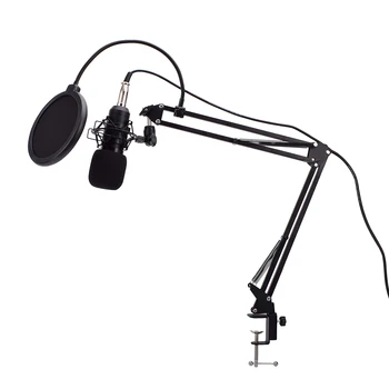 

Metal Adjustable Microphone Stand With Solid Round Weighted Base