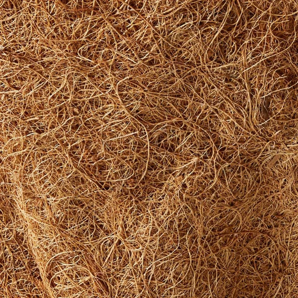 1b5b435f578a2aa0d1c101b97393fd4a