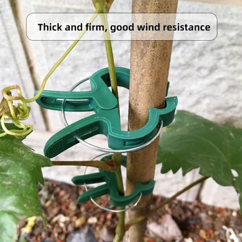 

Reusable Garden Plant Vines Grape Support Fastener Fixed Clip Vegetables Flowers Tied Buckle Clamp Greenhouse Bracket 100pcs