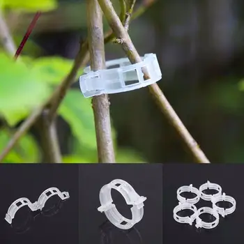 

White 100pcs Fixed Tomato Clips Plant Clip Useful Fashion Plants Gadget Drop Shipping New Vines Trellis Supports Twine