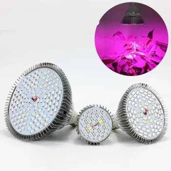 

Full Spectrum Plant Grow LED Light Bulbs Lamp lighting for Seeds Hydro Flower Greenhouse Veg Indoor Garden E27 Red Blue UV LED