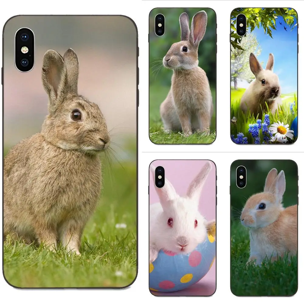Силиконовый чехол для Huawei nova 2 2S 3i 4 4e 5i Y3 Y5 II Y6 Y7 Y9 Lite Plus Prime Pro 2017 2018 2019 с кроликом