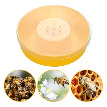 

Beekeeping Tool Bee Feeder Easy Clean Convenient Large Capacity Non-toxic Honey Equipment Plastic Water Bee Feed