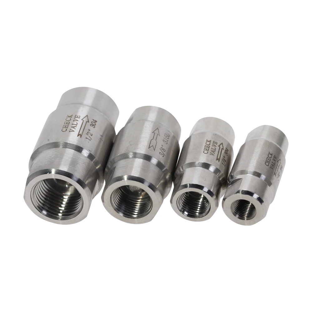 1pc 1/8'' 1/4'' 3/8'' 1/2'' Female Thread 304 Stainless Steel High Pressure Check Valves Gas Water One-way Valve DN6 DN8 DN10