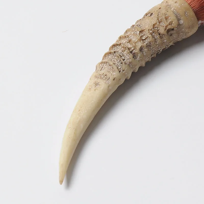 3767577417_1217935314