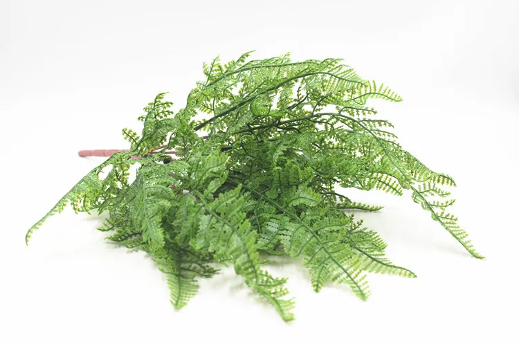 19叶软胶波斯叶