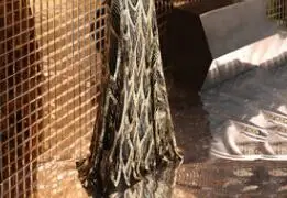 Вечернее платье с блестками, элегантное платье,, с открытыми плечами, вечерние платья, вырез лодочкой, короткий рукав, вечерние платья, F241-4 - Цвет: as picture