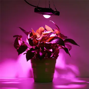

Full Spectrum COB Grow Light High Brightness PAR Automatic Temperature Control LED Flood light for Indoor Grow Box Greenhouses