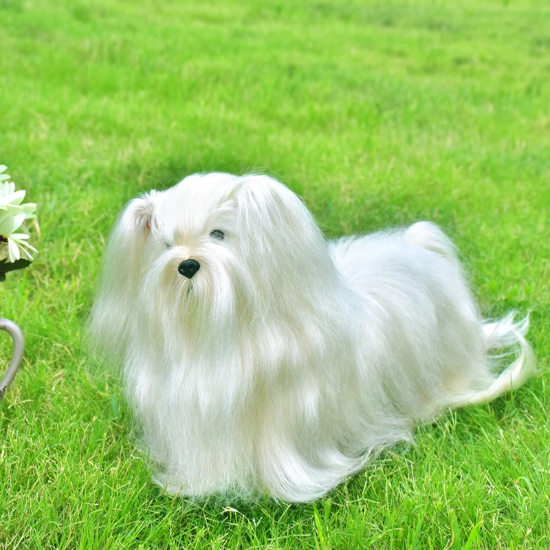 Can You Bleach Dog Hair