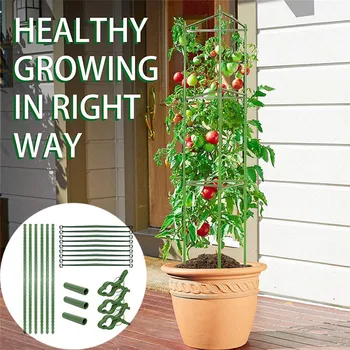 

Assembled Plant Cages Vegetable for Indoor Pot and Outdoor Climbing Plants 42