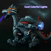 Electric Walking Spray Dinosaurs High Simulation Wate Spray Smart Dinosaur Sound Flash Lights Shaking Head Boy Gift Kids RC Toys 3