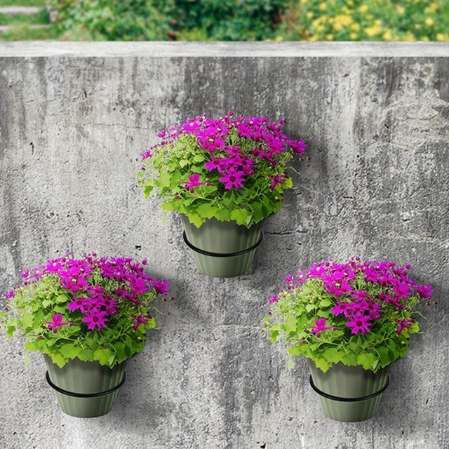 Wall-mounted Plant Holder Ring Flower Pot Stand Plant Metal Hook for Indoor  & Outdoor Decorative