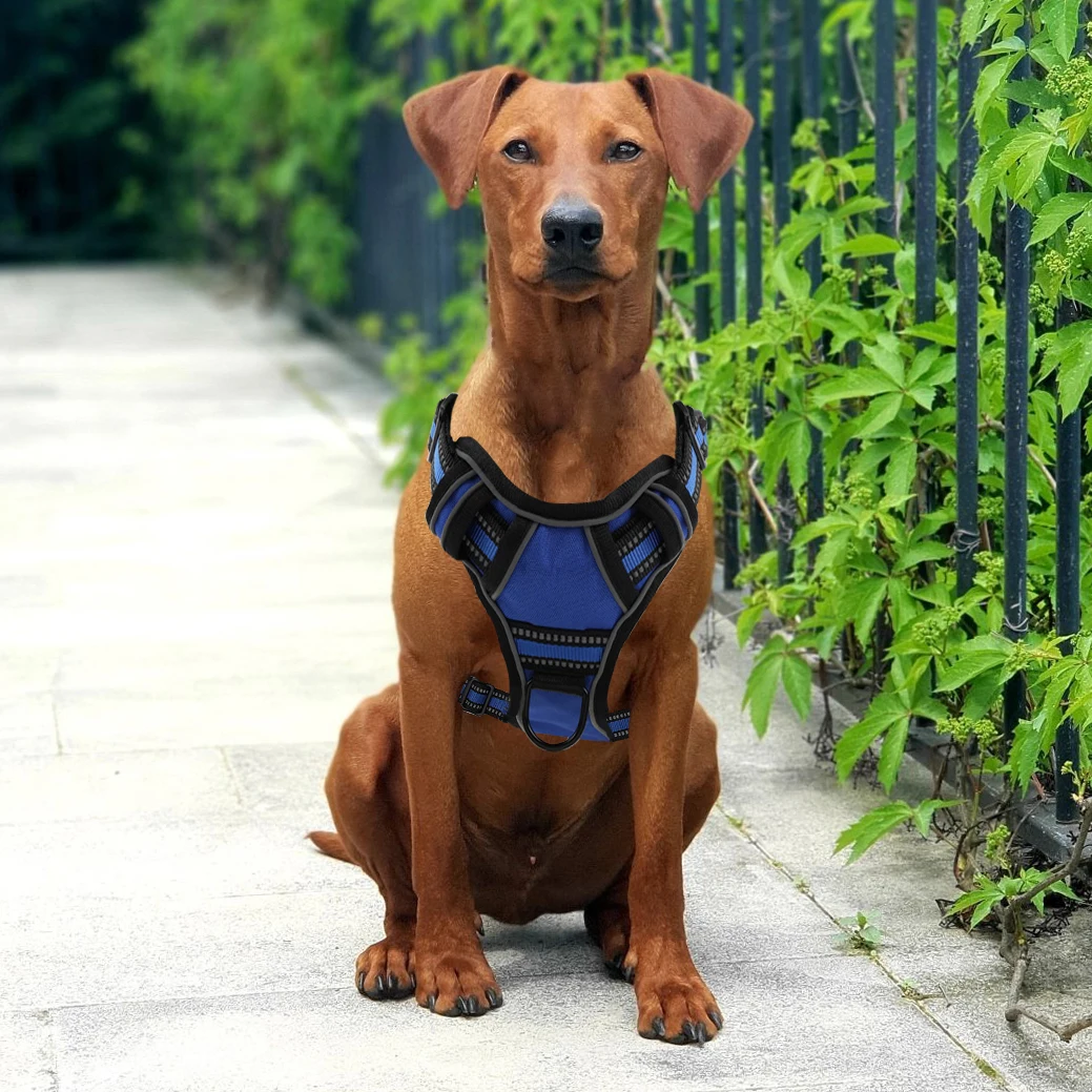 Dog Harness No Pull Breathable Reflective Pet Harness Vest For Small Large Dog Outdoor walking Training  Dogs Accessories