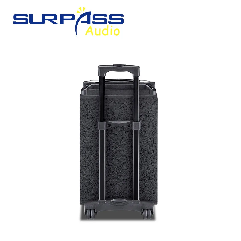 Outdoor or Home Karaoke Bass Treble Bluetooth Microphone Speaker 10'' Portable Battery Loudspeaker with FM Radio LED Light USB