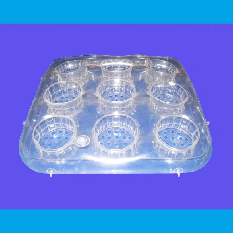 

Factory Profession Production Environmentally Friendly Durable PVC Inflatable Water Flocked Planting Plate, Inflatable Water Pla