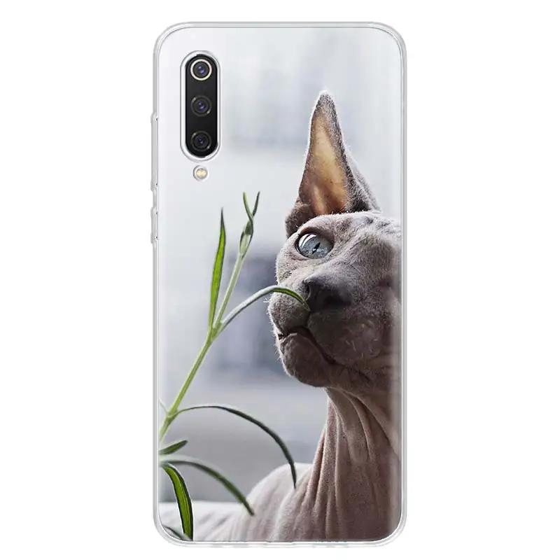 TW001-3 Кошка Сфинкс крышка чехол для телефона для Xiao mi Red mi Note 8 Pro 8A 7 7A 5 5A 6A 4X S2 K20 mi 5X6X9 8 CC9 F1 корпус под плетенную сумку - Цвет: TW001-3