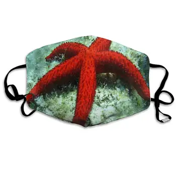 

Dustproof Washable Reusable Fun Facts About Starfish Mouth Cover Mask Protective Warm Windproof Mask