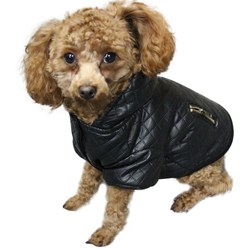Кожаная одежда для домашних собак зимнее пальто Одежда для маленьких собак теплые толстовки пальто для собак съемный комплект из двух предметов куртка одежда для домашних животных