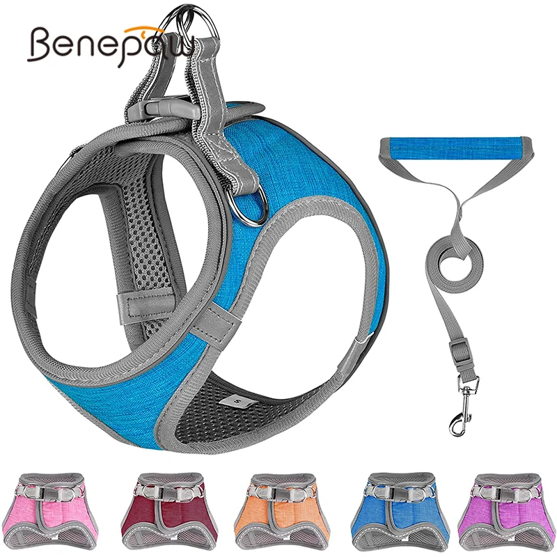 Benepaw Soft Small Medium Dog Harness Leash Set Reflective Comfortable