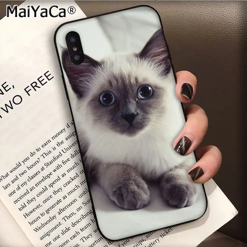 MaiYaCa pet siamese cat роскошный модный чехол для телефона для Apple iphone 11 pro 8 7 66S Plus X 5S SE XS XR XS MAX мобильных телефонов - Цвет: 2