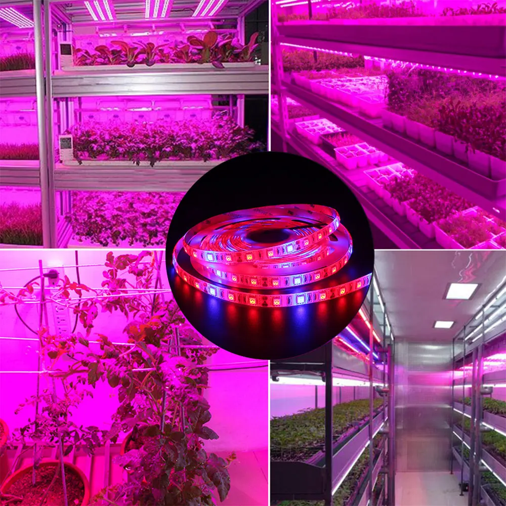 1 м-5 м светодиодный комплект для выращивания растений SMD 5050 60 светодиодный/м водонепроницаемый красный синий свет лента набор+ блок питания для теплицы гидропоники