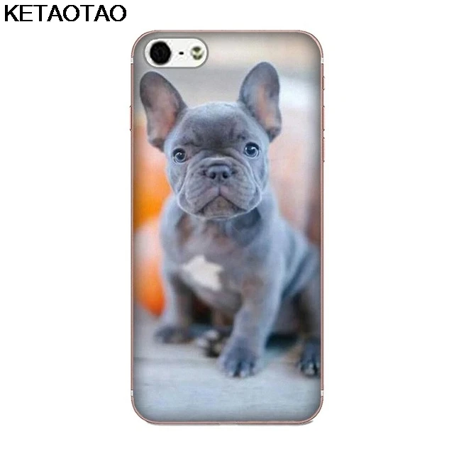 KETAOTAO Frances бульдог щенок чехол для телефона s для iPhone 5S 6S 7 8 Plus X XS XR 11 Pro Чехол кристально чистый мягкий TPU чехол s - Цвет: Золотой