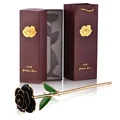 Black Gold Rose