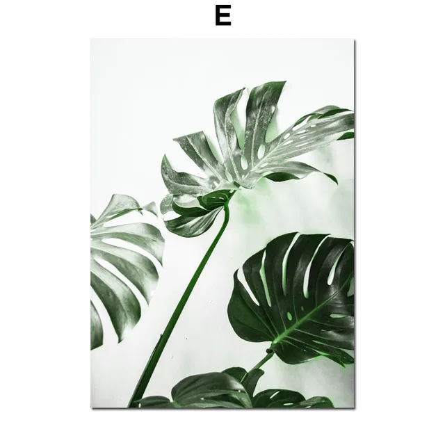 Aloe Succulents Monstera Green Plant Art Nordic Posters And Prints Wall Art Canvas Painting Wall Pictures For Living Room Decor E