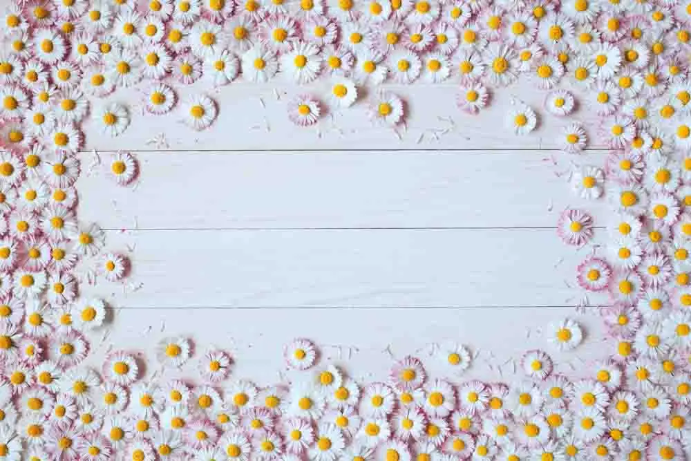 

SHUOZHIKE Vinyl Custom Photography Prop Daisy flower theme Photo Studio Background 19912-08654