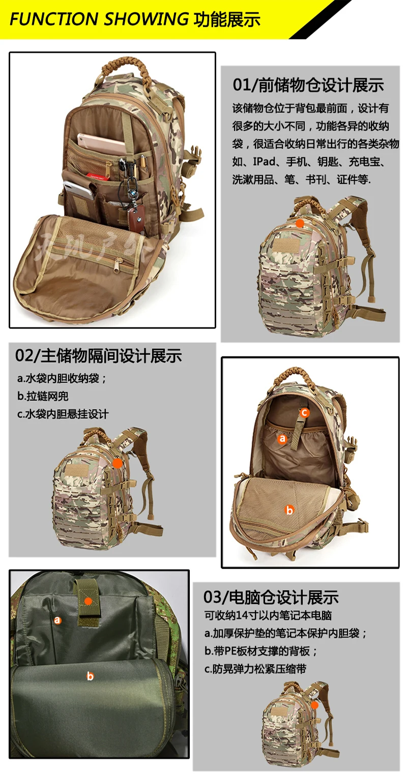龙蛋4