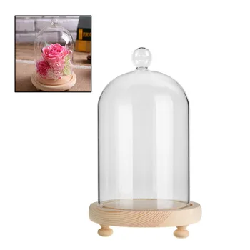 

100 X 190mm Clear Glass Display Jar Handcraft Glass Dome Cover Cloche Bell Jar With Wooden Base for DIY Decoration